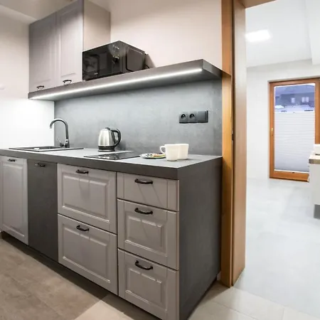 Апартаменты Kozincowka Закопане