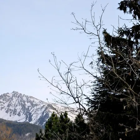 Kozincowka Daire Zakopane