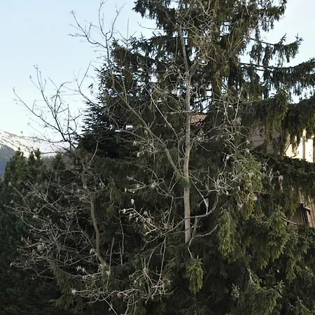 Apartament Kozincówka Zakopane