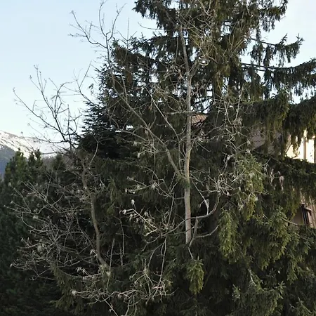 Apartment Kozincowka Zakopane